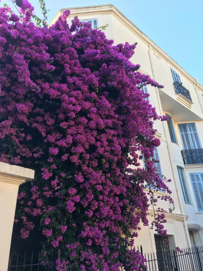 Amazing Studio Cannes Center Екстериор снимка